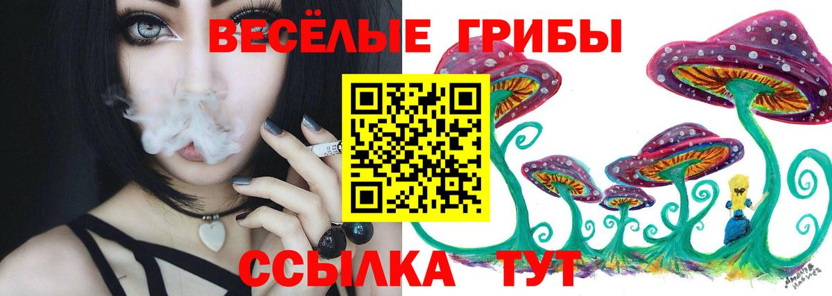 Галлюциногенные грибы Cubensis  Псилоцибиновые грибы ЛСД  Чебаркуль  Вход с VPN 